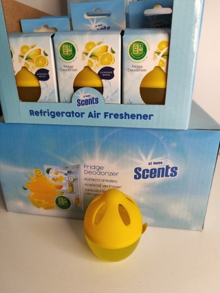 Pochłaniacz zapachów do lodówki